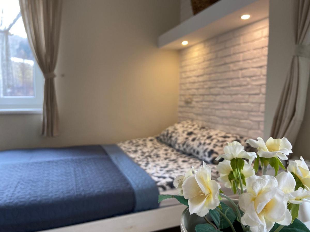 Willa Aleksandra - Apartamenty Miedzybrodzie Zywieckie Luaran gambar